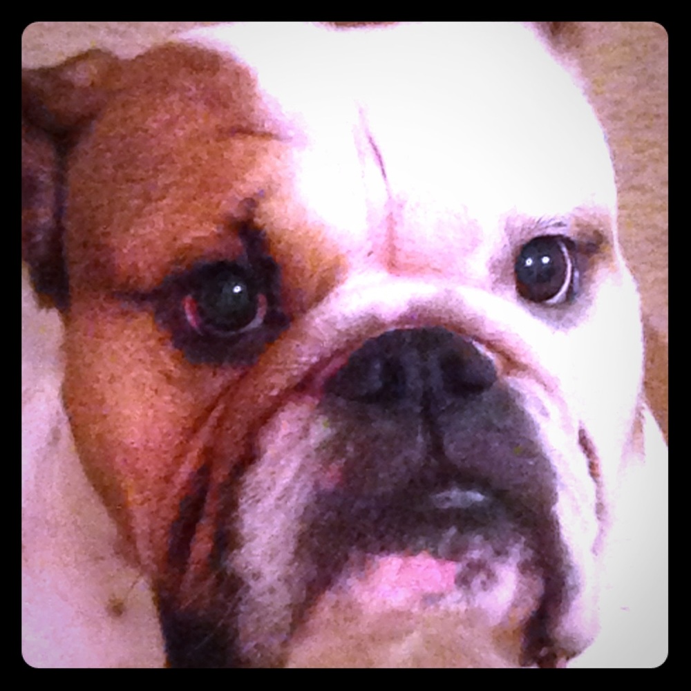 Meet your Posher, Noel